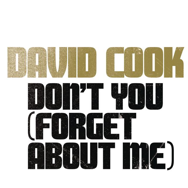 Album cover art for Don't You (Forget About Me)