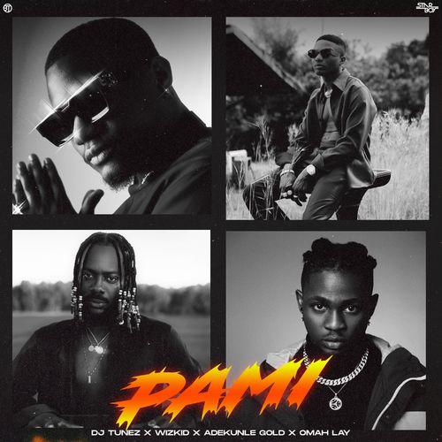 Album cover art for PAMI