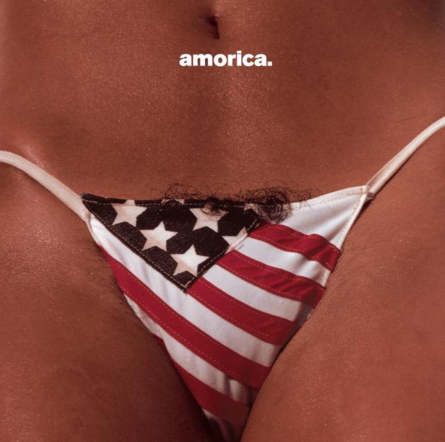 Album cover art for Amorica