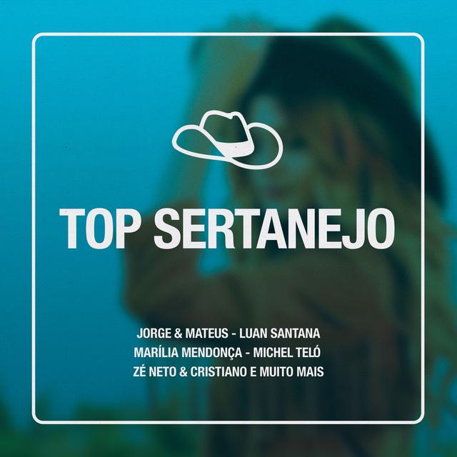 Album cover art for Top Sertanejo (Ao Vivo)