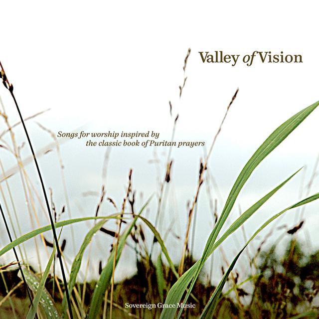 Album cover art for Valley of Vision