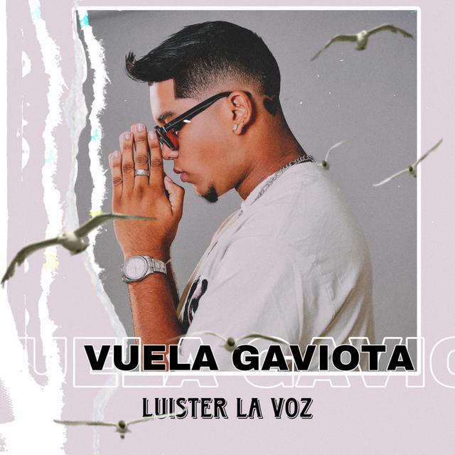 Album cover art for Vuela Gaviota