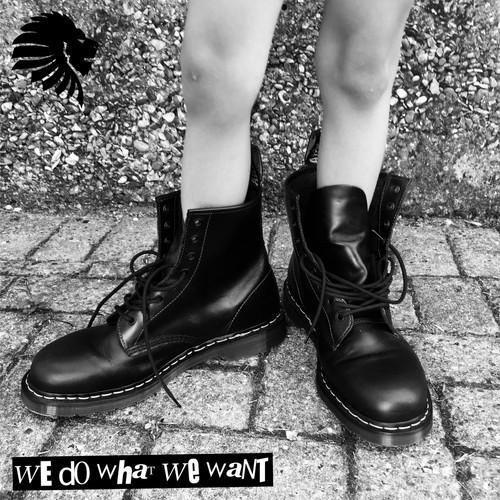 Album cover art for We Do What We Want