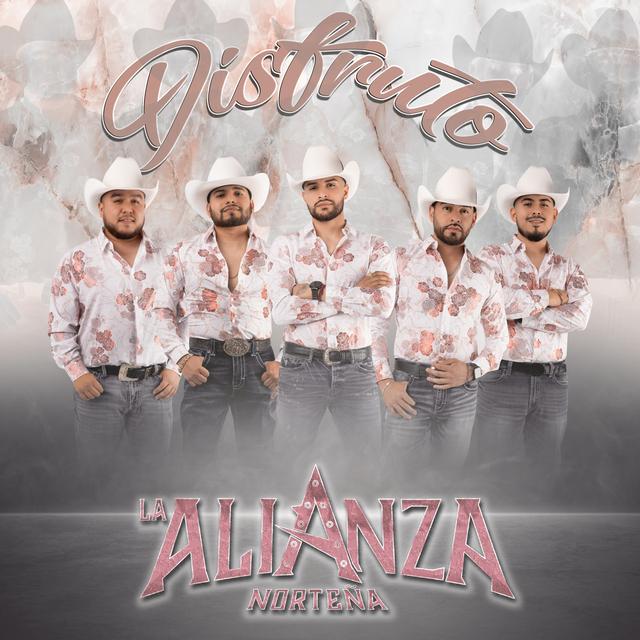 Album cover art for Disfruto