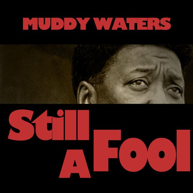 Album cover art for Still A Fool