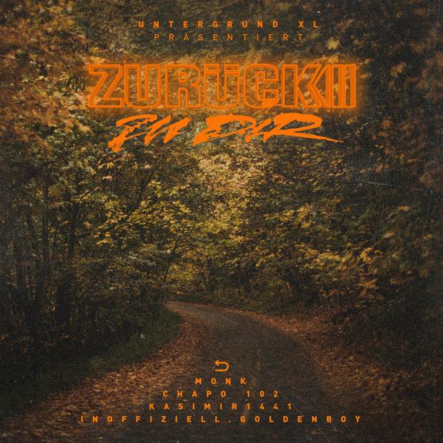 Album cover art for Zurück Zu Dir