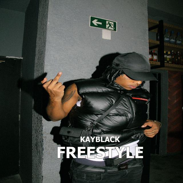 Album cover art for Freestyle