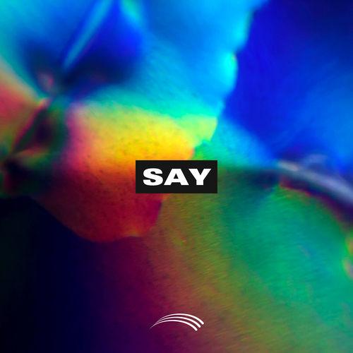 Album cover art for Say