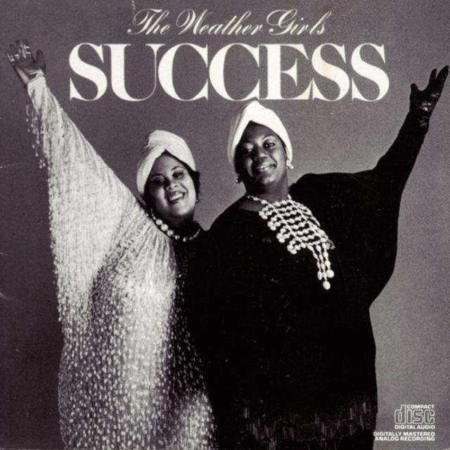 Album cover art for Success