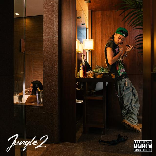 Album cover art for Jungle 2