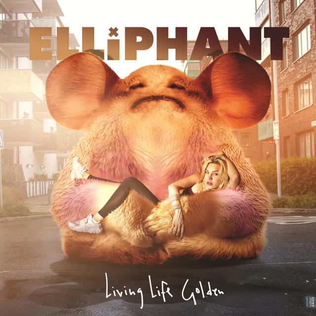 Album cover art for Living Life Golden