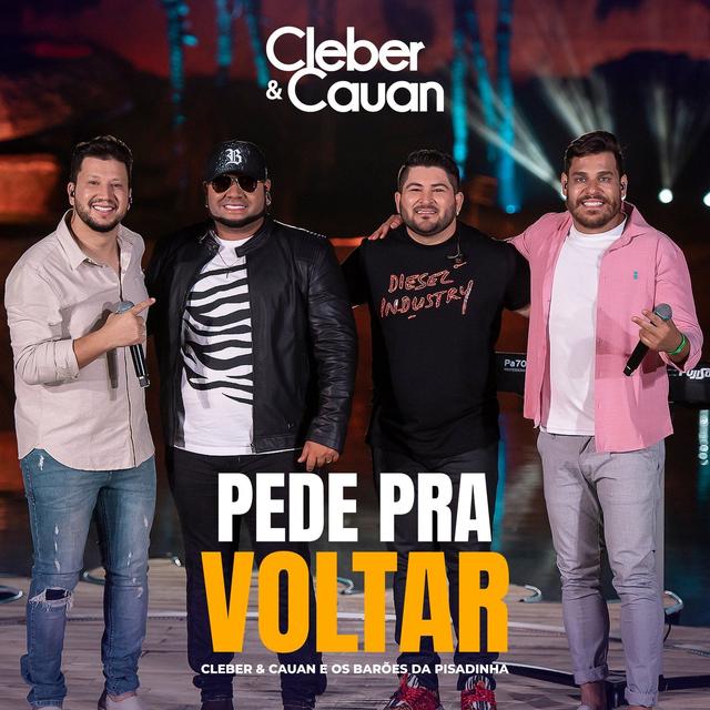 Album cover art for Pede Pra Voltar