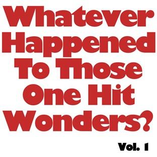 Album cover art for I Wonder What Happened To Those One Hit Wonders, Vol. 1