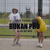 Album cover art for Bukan PHO