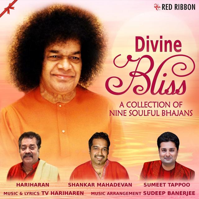 Album cover art for Divine Bliss