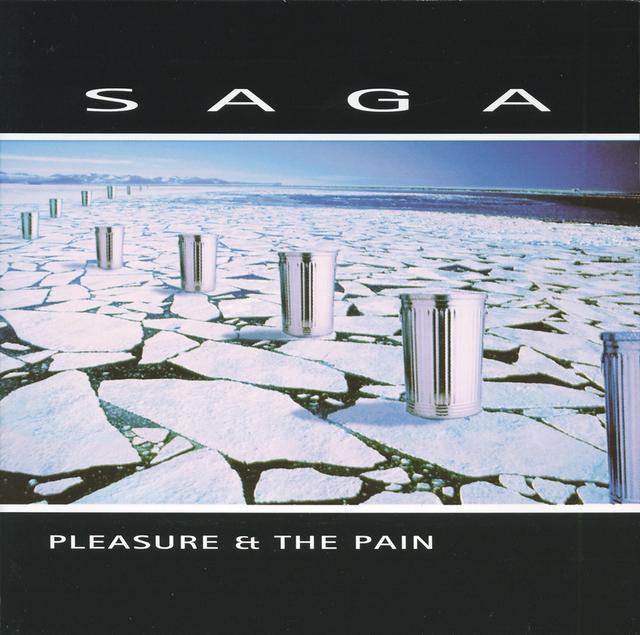 Album cover art for Pleasure & the Pain