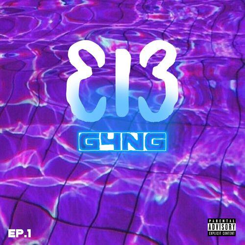 Album cover art for 313G4NG