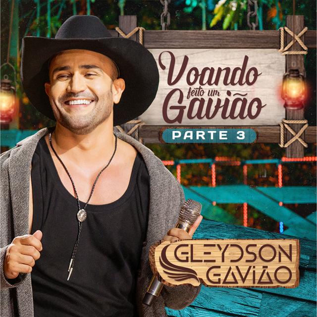 Album cover art for Voando Feito um Gavião, Pt. 3