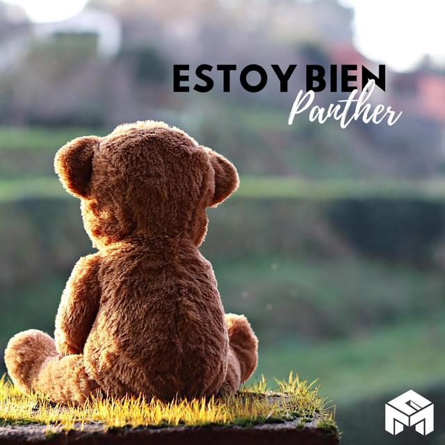 Album cover art for Estoy Bien