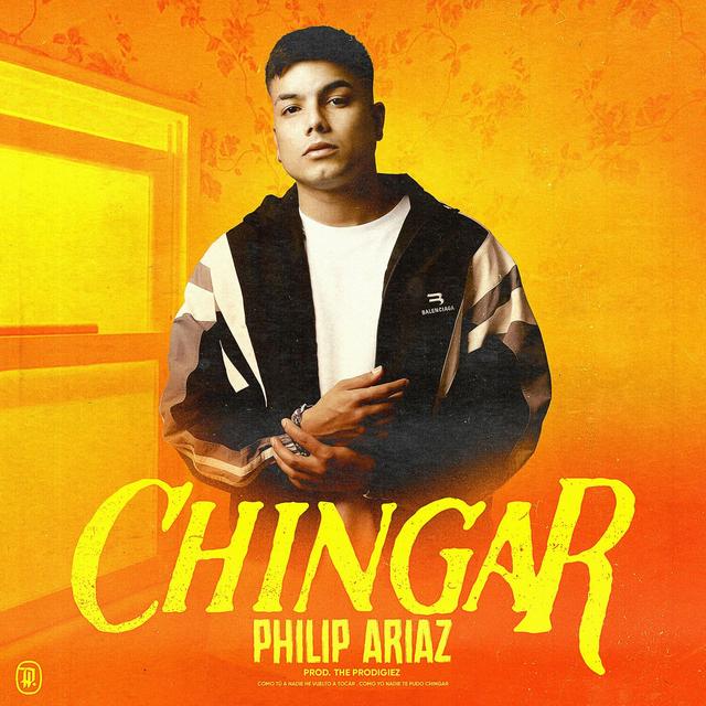 Album cover art for Chingar