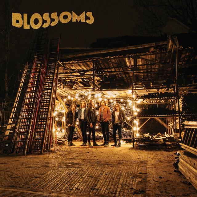 Album cover art for Blossoms