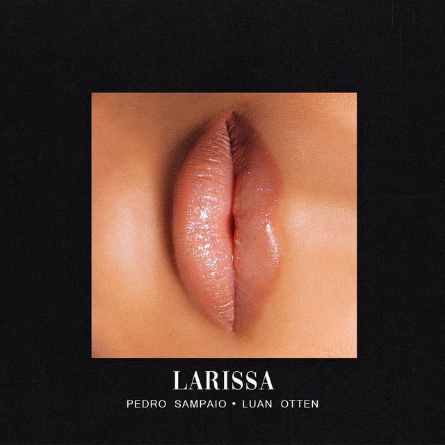 Album cover art for Larissa