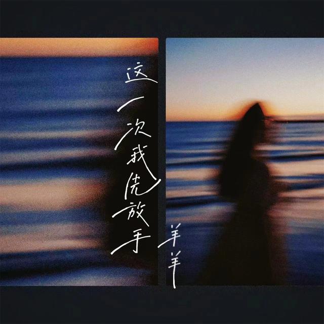 Album cover art for 这一次我先放手