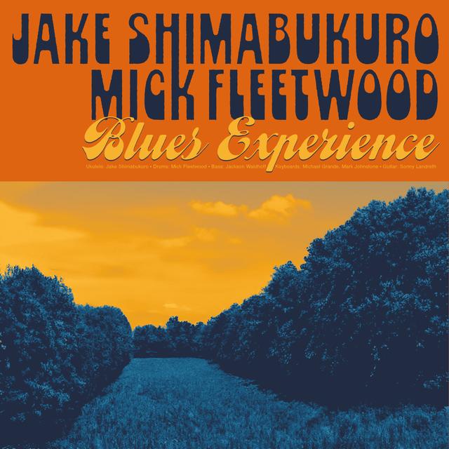 Album cover art for Blues Experience