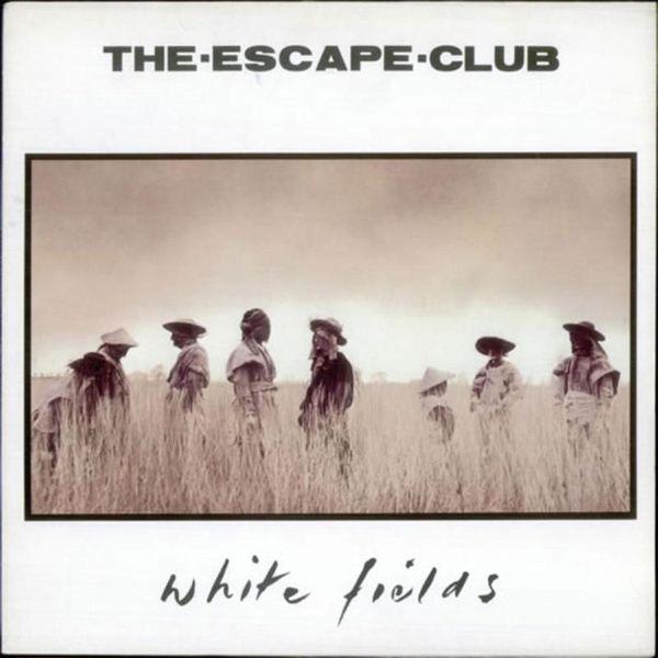 Album cover art for White Fields