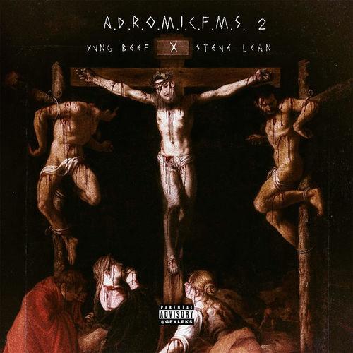 Album cover art for A.D.R.O.M.I.C.F.M.S. 2