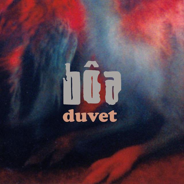 Album cover art for Duvet