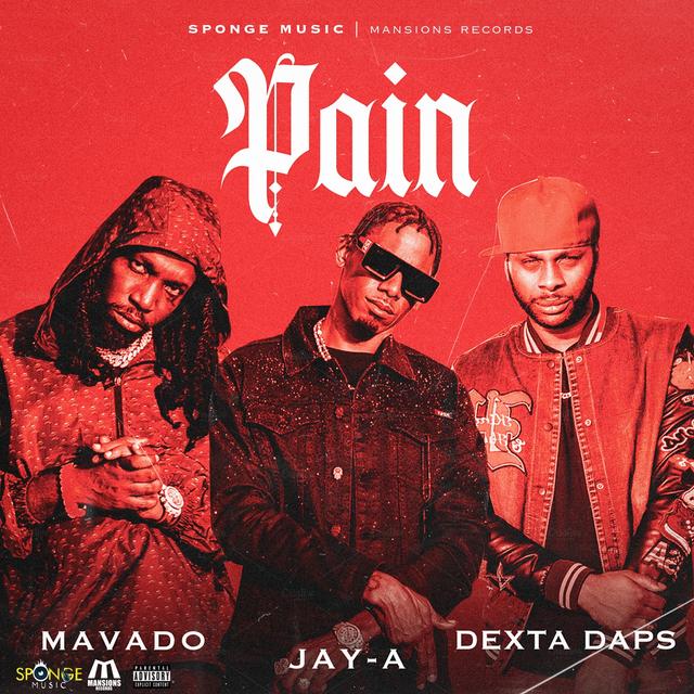 Album cover art for Pain