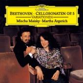 Album cover art for Beethoven: Cellosonaten Op. 69 & 102 - Variationen