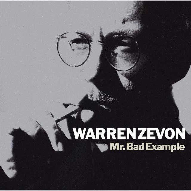 Album cover art for Mr. Bad Example