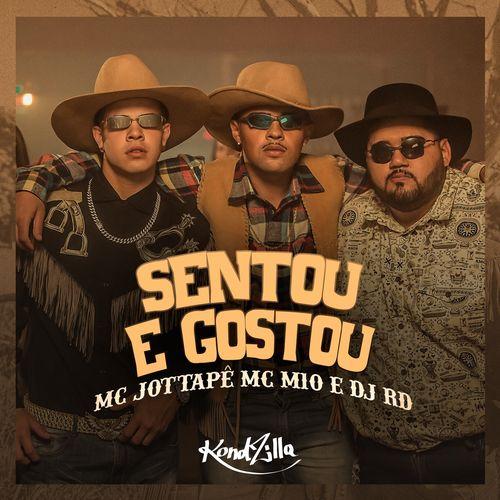 Album cover art for Sentou e Gostou