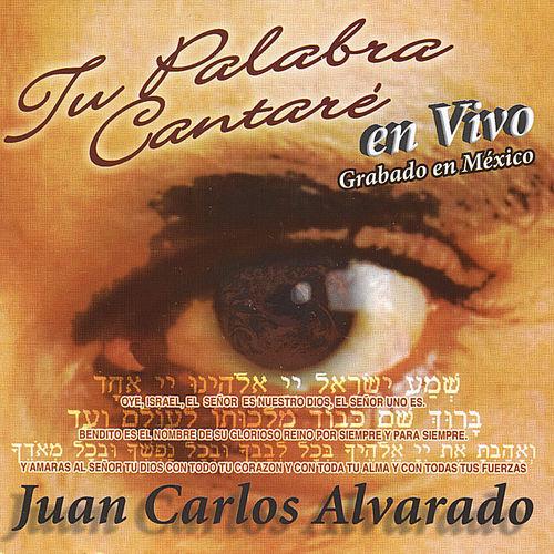 Album cover art for Tu Palabra Cantaré