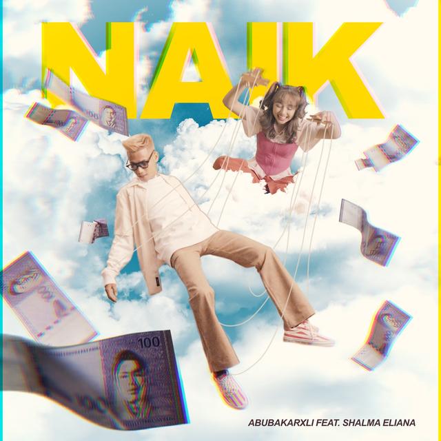 Album cover art for NAIK