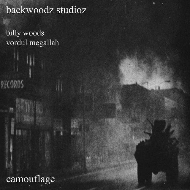 Album cover art for Camouflage