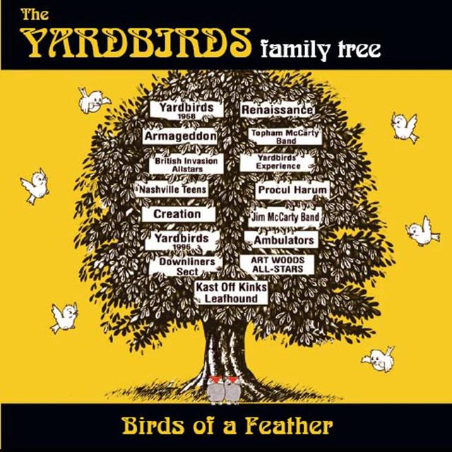 Album cover art for Birds Of A Feather