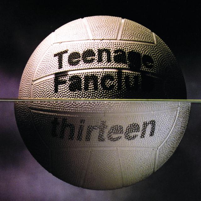 Album cover art for Thirteen