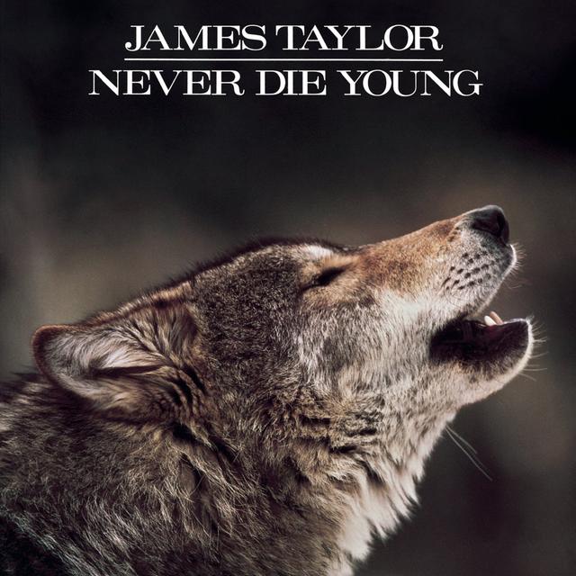 Album cover art for Never Die Young