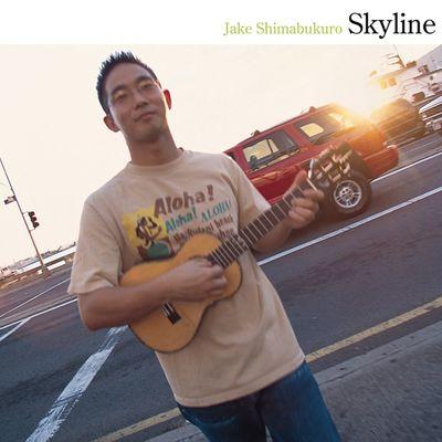 Album cover art for Skyline