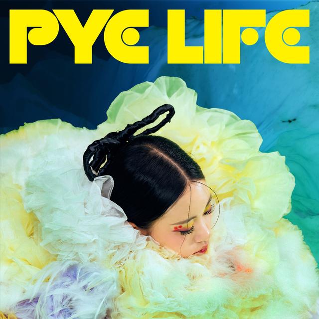 Album cover art for Pye Life