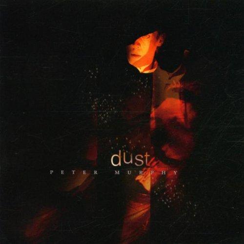 Album cover art for Dust