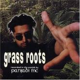 Album cover art for Grass Roots