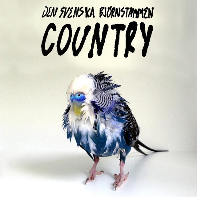 Album cover art for Country