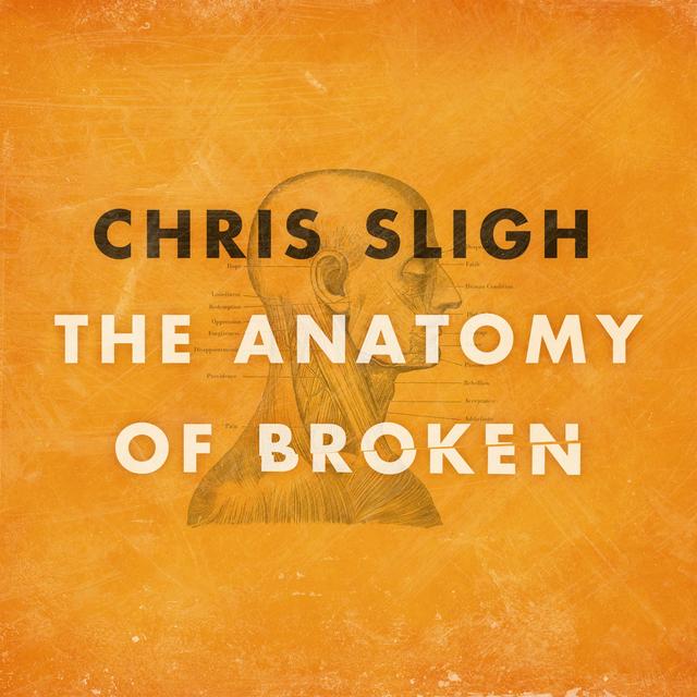 Album cover art for The Anatomy Of Broken