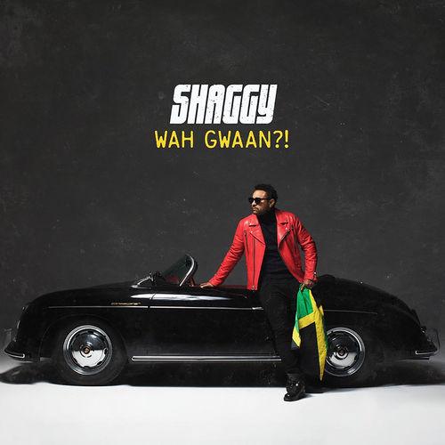 Album cover art for Wah Gwaan?!