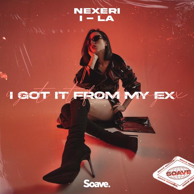 Album cover art for I Got It From My Ex