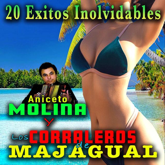 Album cover art for 20 Exitos Inolvidables